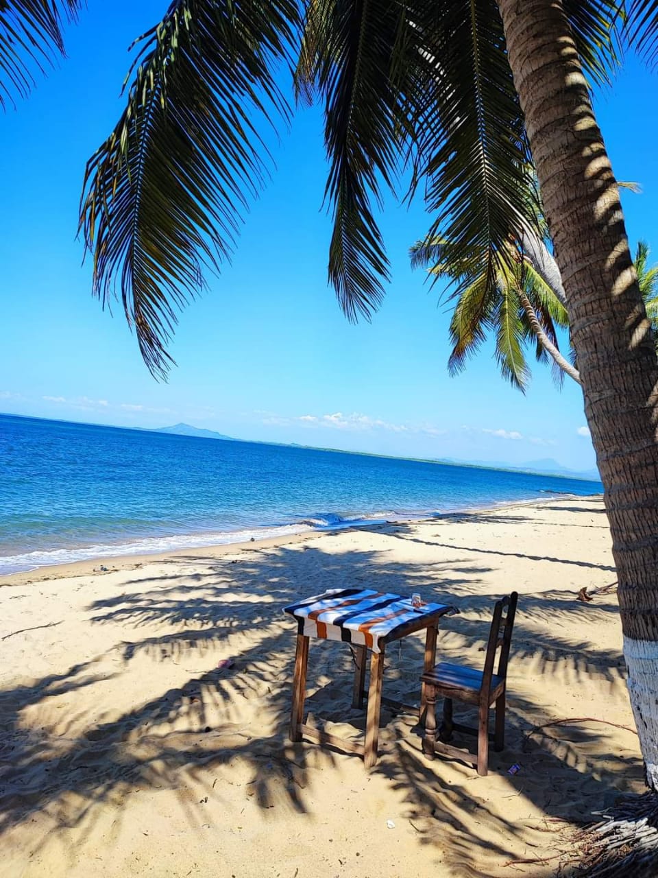 Palm-Shaded Table