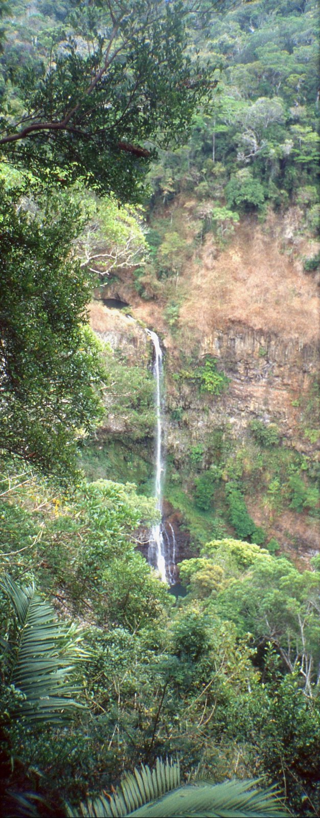 A tall waterfall in Montagne d'Ambre