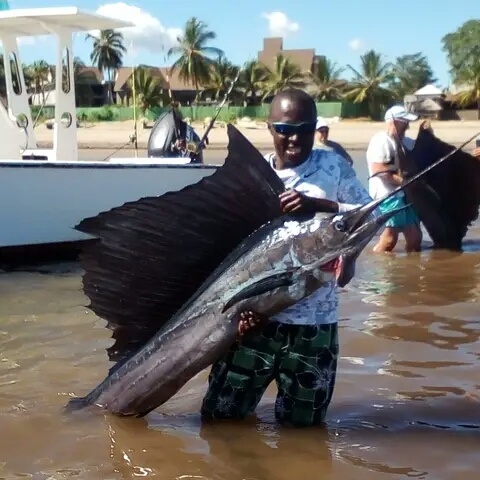 Sailfish Landing