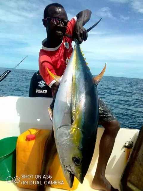 Yellowfin Tuna