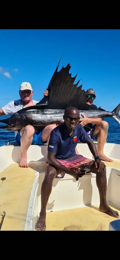 Sailfish Catch