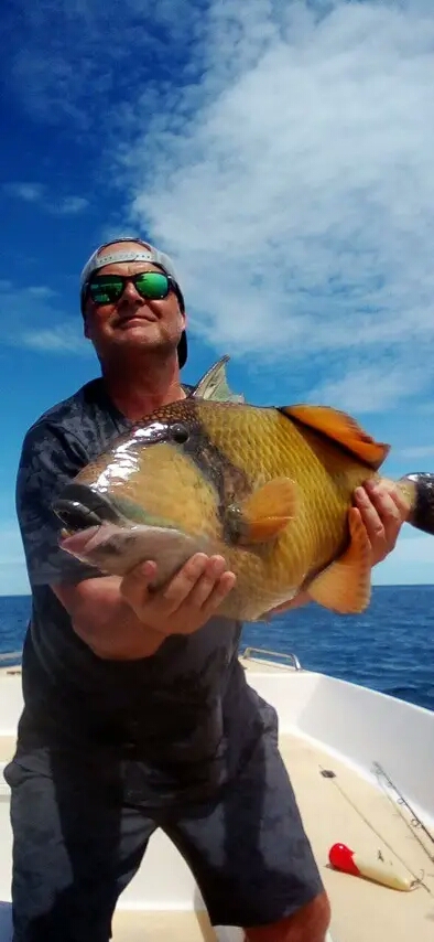 Titan Triggerfish