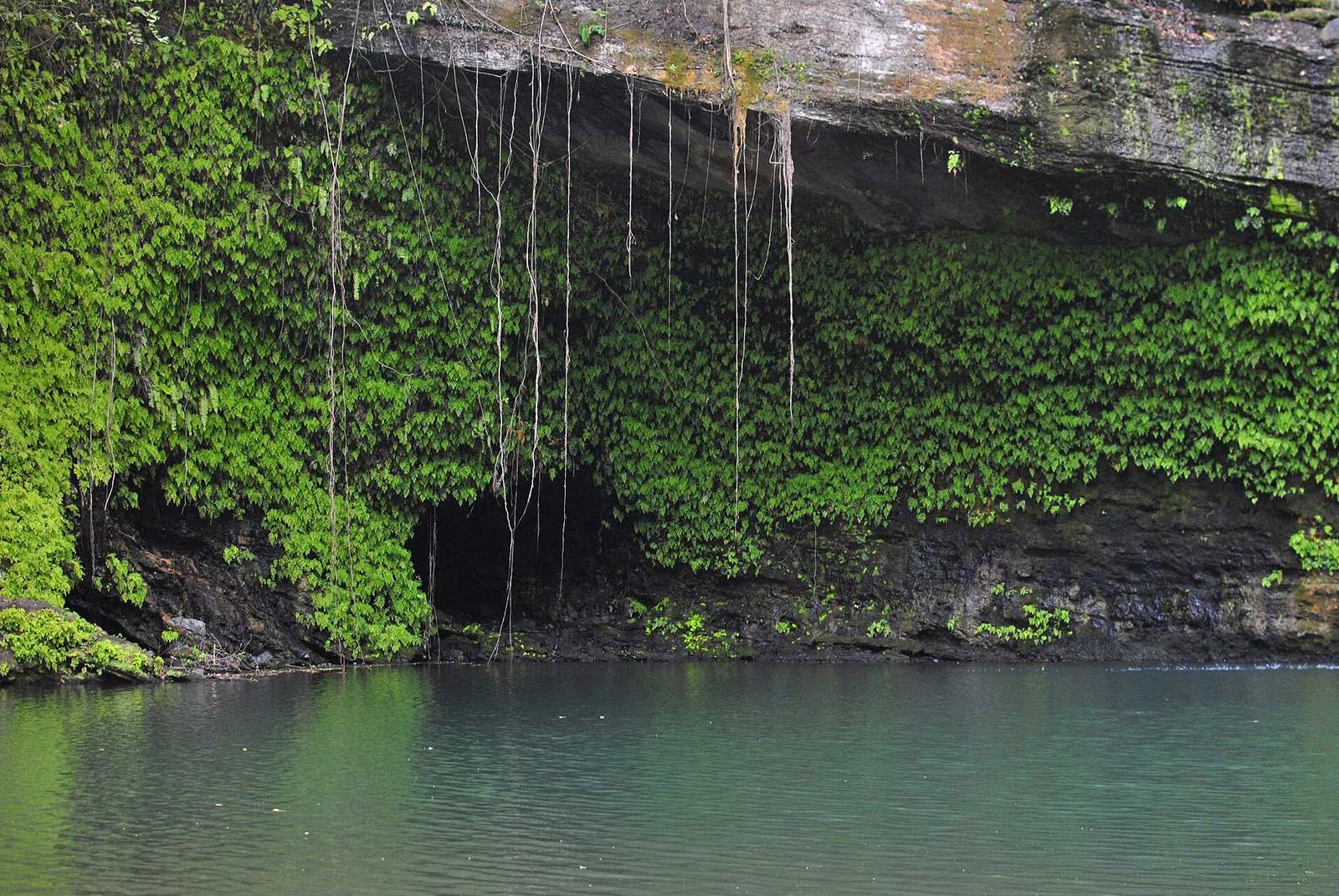 The shaded grotto behind the sacred falls